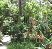 Dunns Creek Downs Nature Stay - Accommodation Coffs Harbour