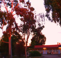 Murray Bridge Central Olympic Motel and Cottages - Accommodation Coffs Harbour