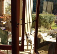 Mara Ponds Branxholm - Accommodation Coffs Harbour