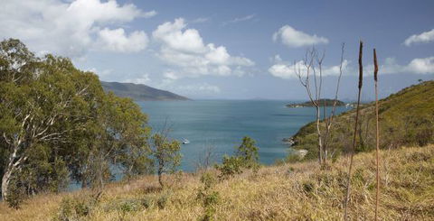 Molle Island National Park (Whitsundays National Park) Camping Ground - Accommodation Coffs Harbour 1