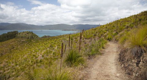 Molle Island National Park (Whitsundays National Park) Camping Ground - Accommodation Coffs Harbour 2