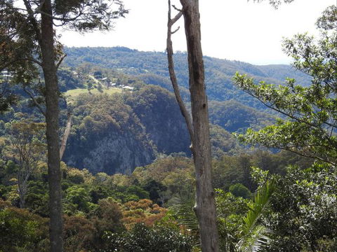 Mt Tamborine Motel - Accommodation Coffs Harbour 0