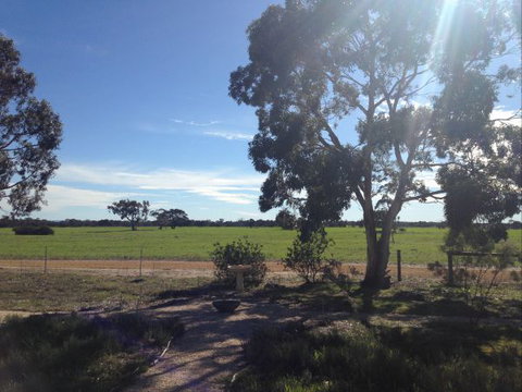 Muntiri Lodge Eco Retreat - Accommodation Coffs Harbour 8