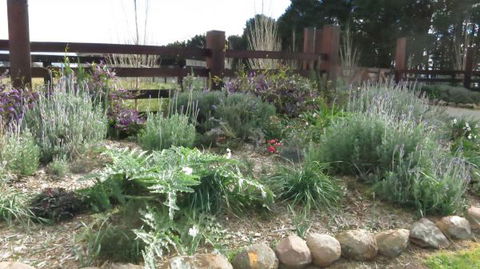 The Loch Barn - Accommodation Coffs Harbour 4