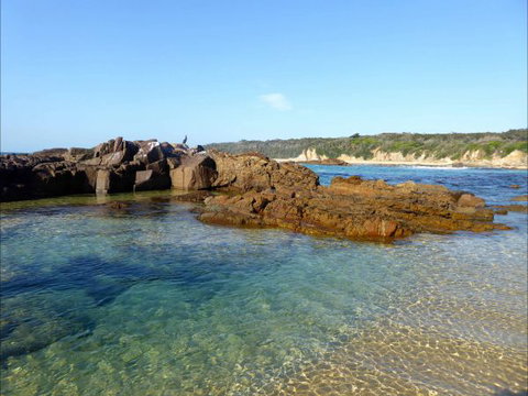 Tilba Coastal Retreat - Accommodation Coffs Harbour 6