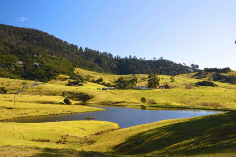 Tilba Coastal Retreat - Accommodation Coffs Harbour 7