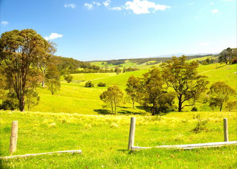 Tilba Coastal Retreat - Accommodation Coffs Harbour 9