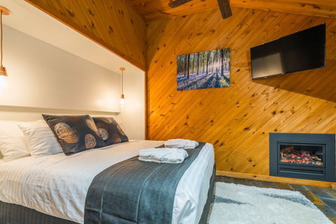 Waterfall Springs Retreat And Wildlife Sanctuary - Accommodation Coffs Harbour 2