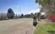 Willowood - thumb 5