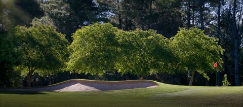 Yowani Country Club - Accommodation Coffs Harbour 4
