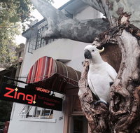 Zing Backpackers Hostel - Accommodation Coffs Harbour