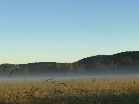 Telegraph Retreat Cottages - Accommodation Coffs Harbour 1