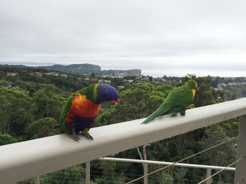 Avalon Horizons - Accommodation Coffs Harbour 8
