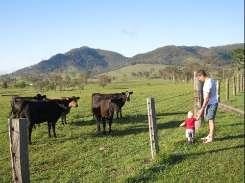 Barrington Hideaway- River Cottages - Accommodation Coffs Harbour 6