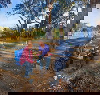 Benarca campground - Accommodation Coffs Harbour