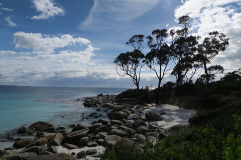 Binalong Bay Beach Shack - Accommodation Coffs Harbour 0