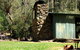 Blue Range Hut - thumb 2