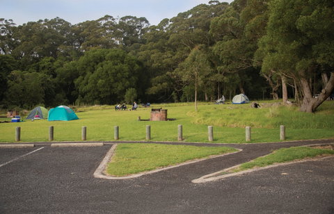Bunya Mountains National Park Camping - Accommodation Coffs Harbour 1