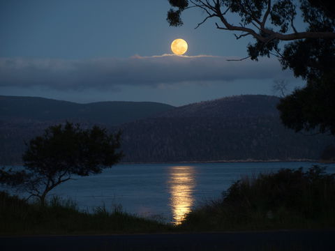 Burilda Waters - Accommodation Coffs Harbour 4