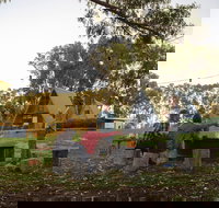 Esperance Chalet Village - Accommodation Coffs Harbour