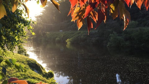 Forth River Cottage - Accommodation Coffs Harbour 4
