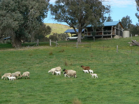 Gaddleen Grove Cottages - Accommodation Coffs Harbour 0