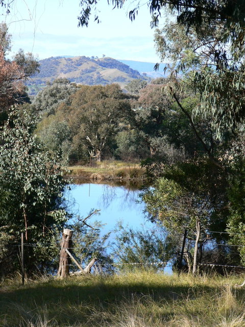 Gaddleen Grove Cottages - Accommodation Coffs Harbour 6