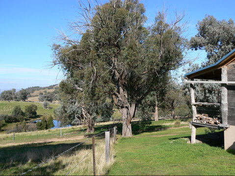 Gaddleen Grove Cottages - Accommodation Coffs Harbour 9