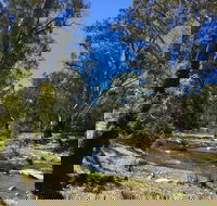 Highfield Farm and Woodland Bush Campsites - Accommodation Coffs Harbour