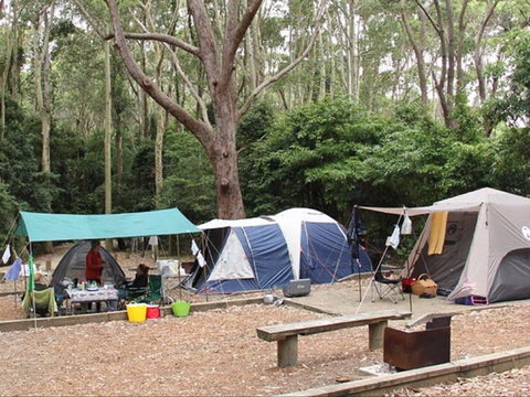 Pebbly Beach Campground - Yuraygir National Park - Accommodation Coffs Harbour 0