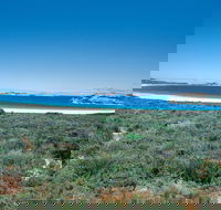 Lucky Bay Campground at Cape Le Grand National Park - Accommodation Coffs Harbour