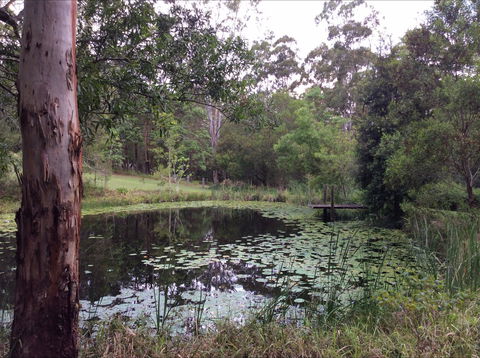 Maleny Country Cottages - Accommodation Coffs Harbour 3