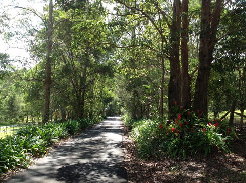 Maleny Country Cottages - Accommodation Coffs Harbour 8