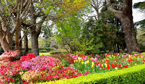 Nesuto Leura Gardens Hotel - Accommodation Coffs Harbour 9