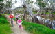 NRMA Echuca Holiday Park - thumb 0