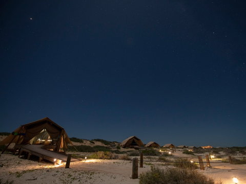 Sal Salis Ningaloo Reef - Accommodation Coffs Harbour 5
