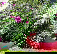 Armidale Pines Motel - Accommodation Coffs Harbour