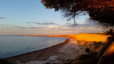 Balgowan Progress Association Caravan/Camping Ground - Accommodation Coffs Harbour 3