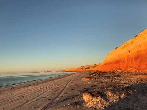 Balgowan Progress Association Caravan/Camping Ground - Accommodation Coffs Harbour 4