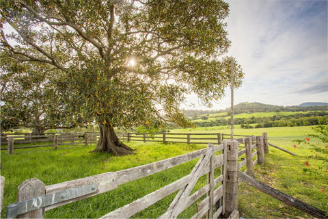 Bo-Warra Farmstay - Accommodation Coffs Harbour 2