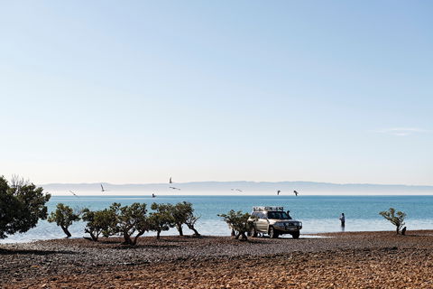 Camping At Point Lowly & Fitzgerald Bay - Accommodation Coffs Harbour 0
