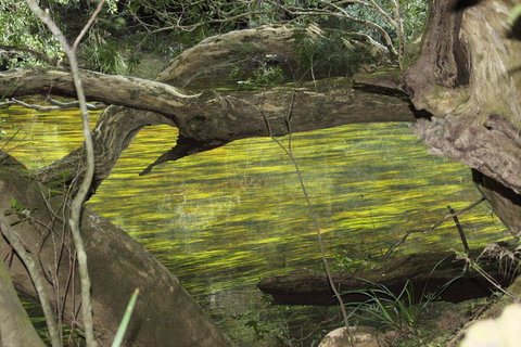 Clyde River Retreat - Accommodation Coffs Harbour 2