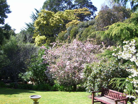 Donalea Bed & Breakfast Tasmania - Accommodation Coffs Harbour 3