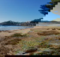 Ellie's Hide-Away at Malua Bay - Accommodation Coffs Harbour