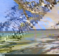 Fanny Cove Camp at Stokes National Park - Accommodation Coffs Harbour