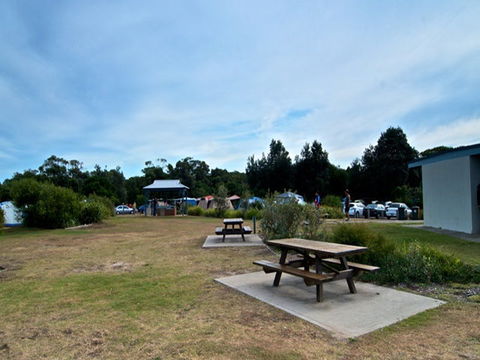 Freemans Campground - Accommodation Coffs Harbour 2
