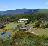 Golden Wattle - Kiaroo - Accommodation Coffs Harbour