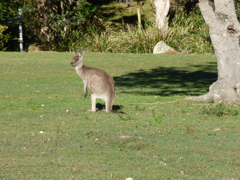 Little Bay Cottage - Accommodation Coffs Harbour 2