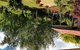 Sheffield Gardens B&B - thumb 0