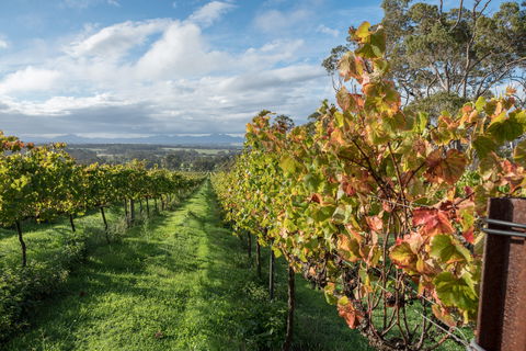 The Sleeping Lady Private Retreat - Accommodation Coffs Harbour 2